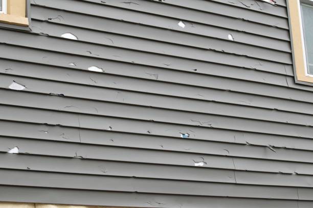 Best Brick Veneer Siding  in Dover, OH