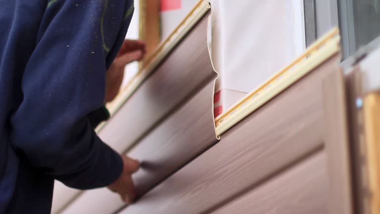 Best Steel Siding Installation  in Dover, OH